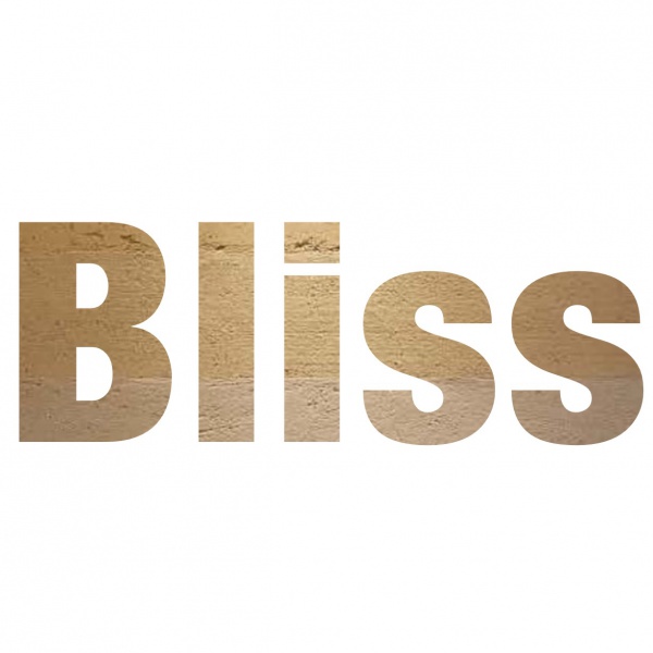 株式会社Bliss